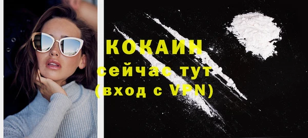 тгк Михайлов