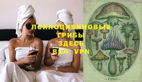 тгк Михайлов