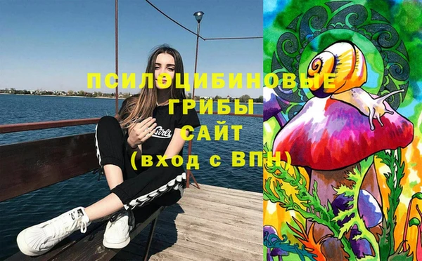 винт Вяземский